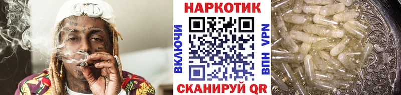 Сколько стоит Лесосибирск МАРИХУАНА  Cocaine  Гашиш  МЕФ 