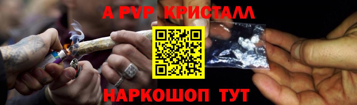 A-PVP СК Лесосибирск