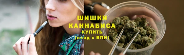 стафф Ростов