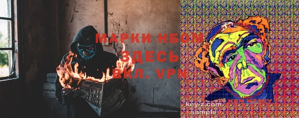 молекула духа Алексеевка